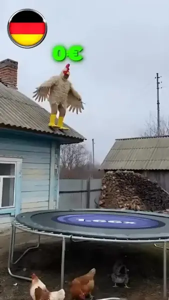 Кадр рекламы Chicken Road