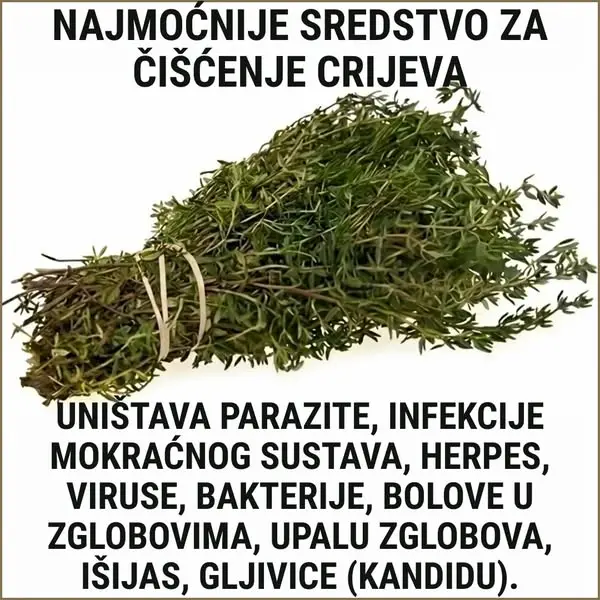 Кадр рекламы Frances Stokes