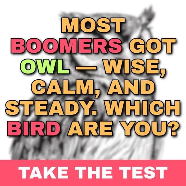 Кадр рекламы Furry Friends Quiz Club