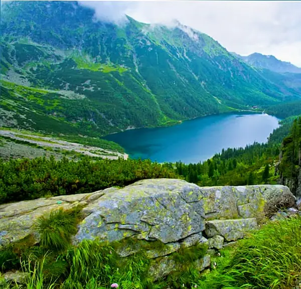 Кадр рекламы Wild Shore