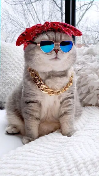 Кадр рекламы Be happy this July