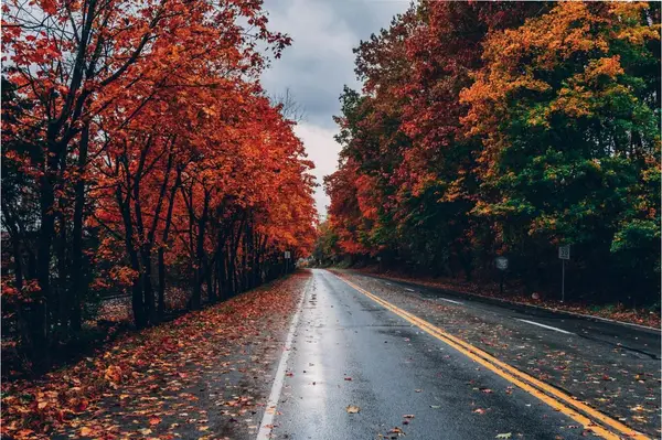 Кадр рекламы Hồng Ngà
