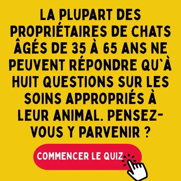 Кадр рекламы Pet Quiz World
