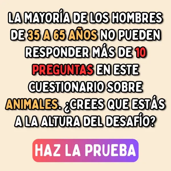 Кадр рекламы We're All About Pets