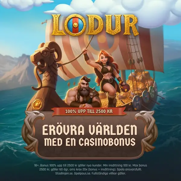 Кадр рекламы Lodur.se