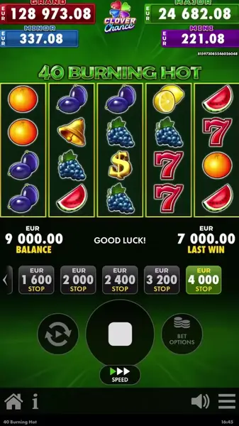 Кадр рекламы Royal Slot