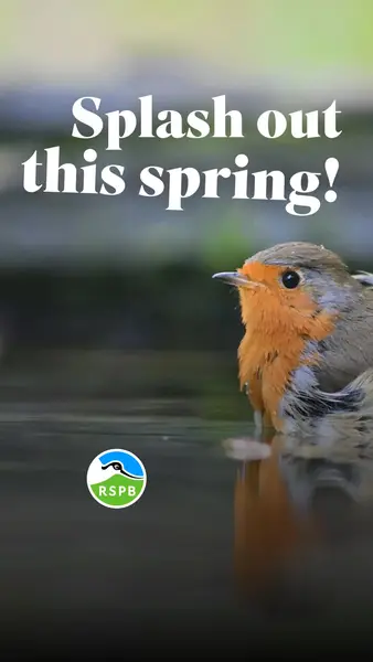 Кадр рекламы RSPB