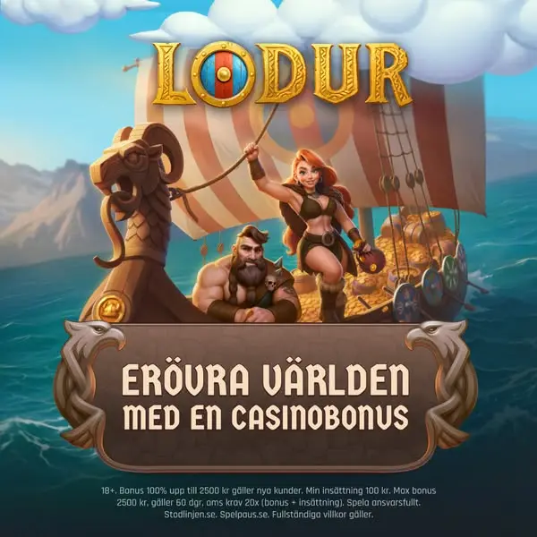 Кадр рекламы Lodur.se