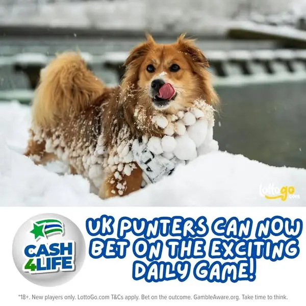 Кадр рекламы LottoGo.com