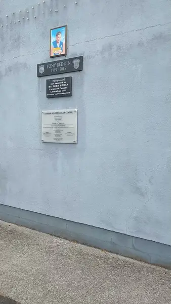 Кадр рекламы Lorrha & Dorrha GAA Club