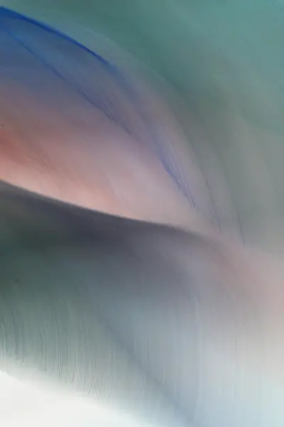 Кадр рекламы Sea