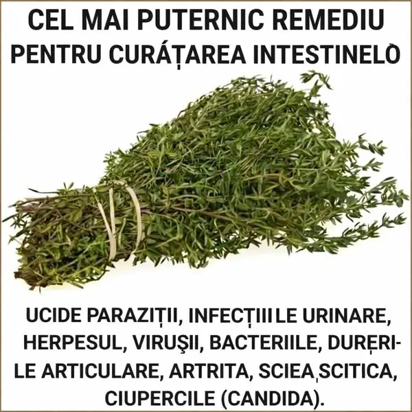 Кадр рекламы Dr.Kim Jenkins