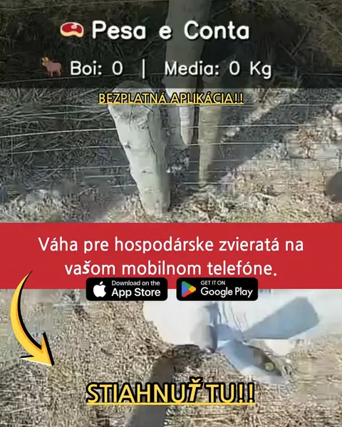 Кадр рекламы Best Apps