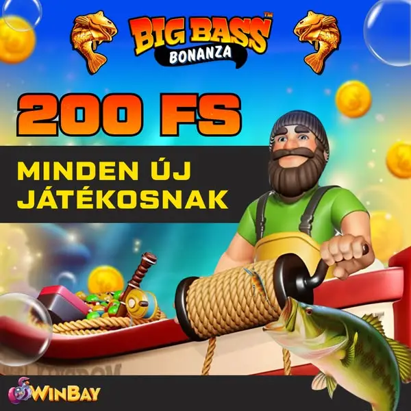Кадр рекламы WinBay