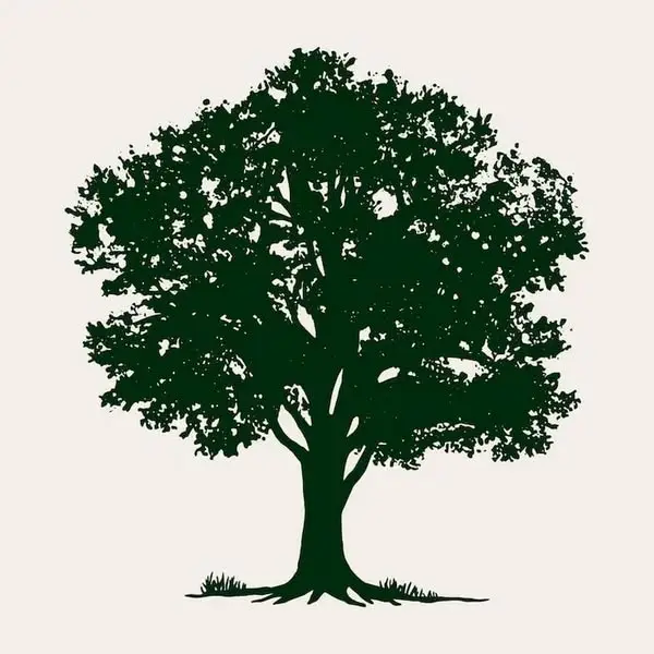 Кадр рекламы Organic Flow Life