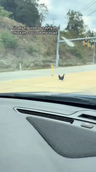 Кадр рекламы Best Chicken