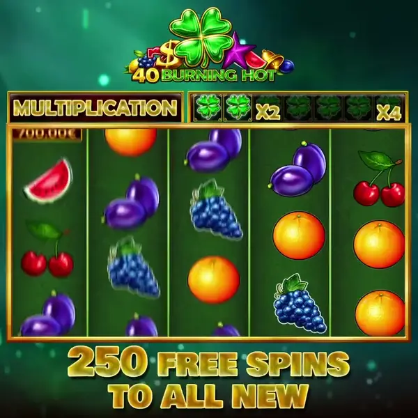Кадр рекламы Online Friday Rolls Game