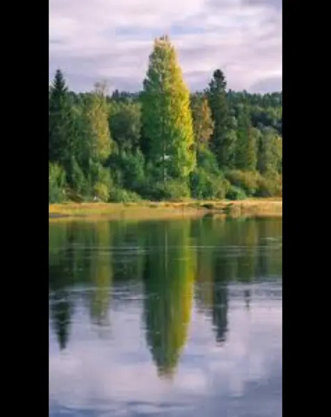 Кадр рекламы You W1n