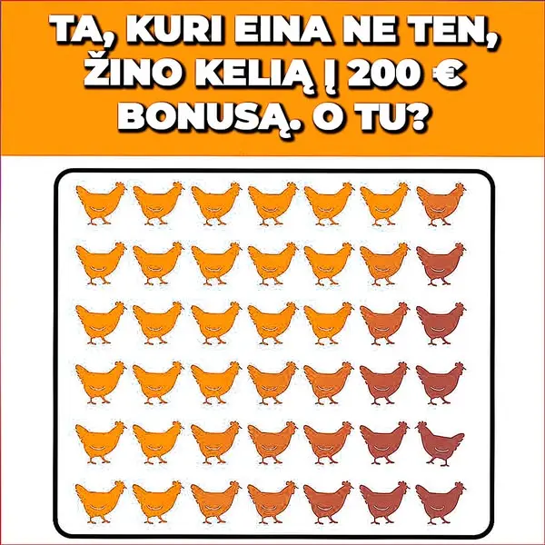 Кадр рекламы Chicken Hit