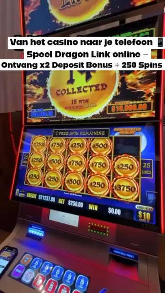 Кадр рекламы Dragon Link Casino