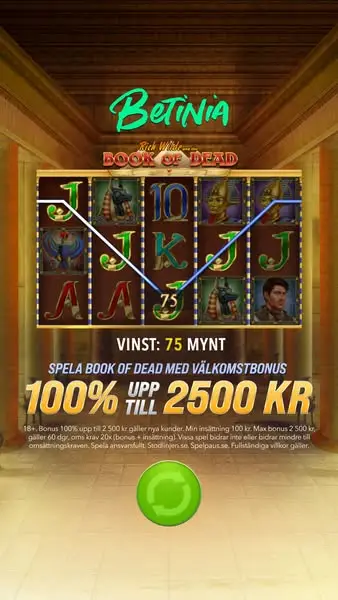 Кадр рекламы Betinia Sverige