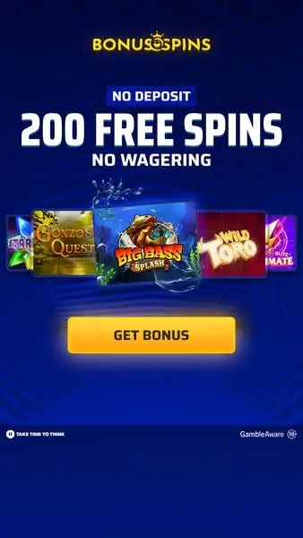 Кадр рекламы Bonus & Spins