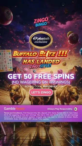 Кадр рекламы Zingo Bingo