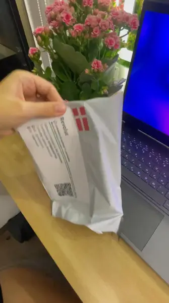 Кадр рекламы EnsoPay
