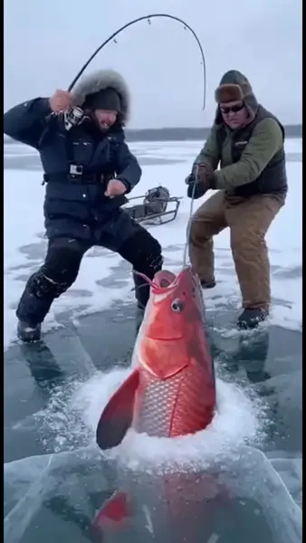 Кадр рекламы Evo Ice Fish