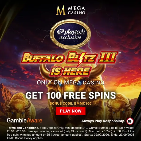 Кадр рекламы Mega Casino