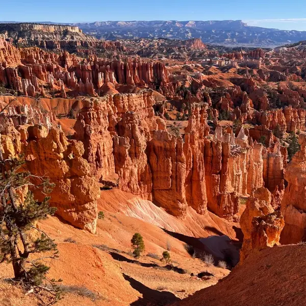 Кадр рекламы Las Vegas Aventures