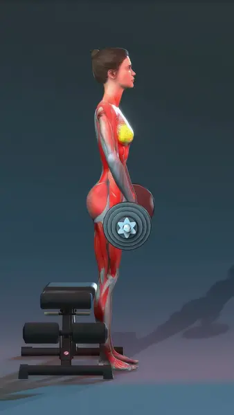 Кадр рекламы Smart Workout Program