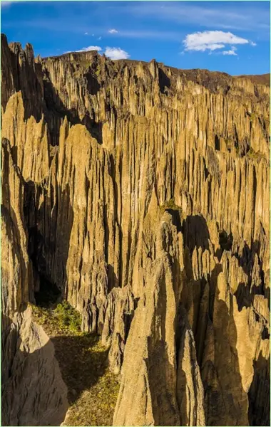 Кадр рекламы Mary N Jimenez