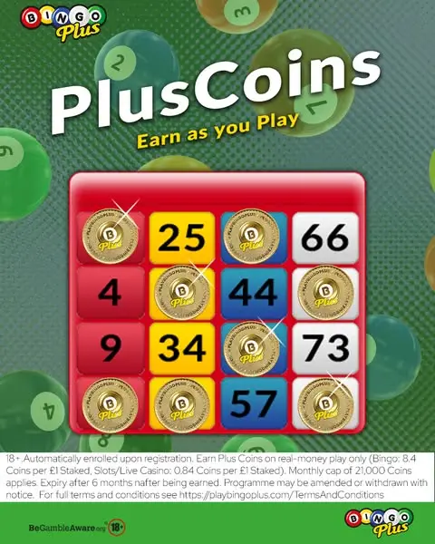 Кадр рекламы Playbingoplus