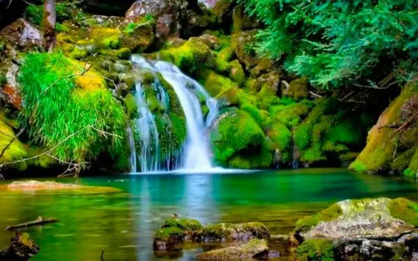 Кадр рекламы La Hậu
