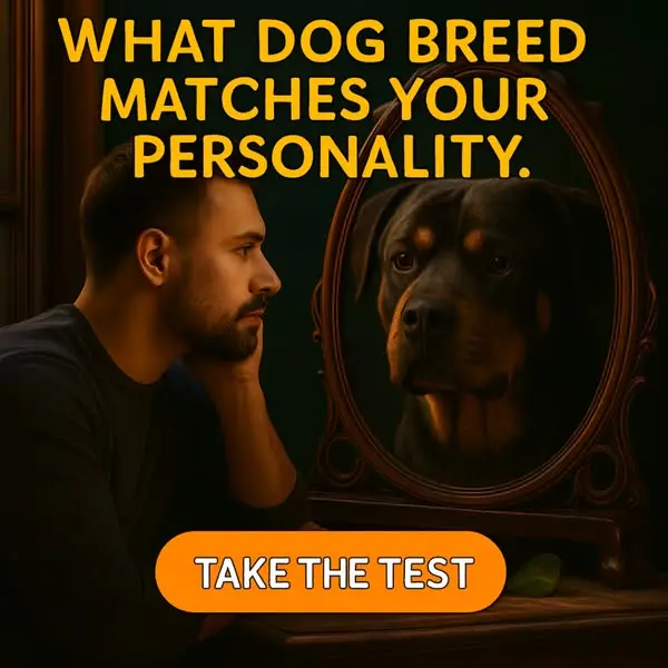 Кадр рекламы We're All About Pets