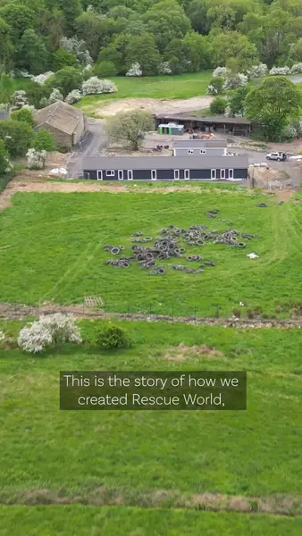 Кадр рекламы Dogs 4 Rescue