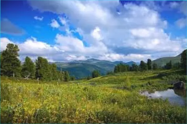 Кадр рекламы Celestia Ardenne