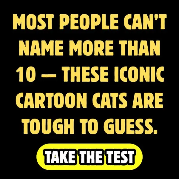 Кадр рекламы Cat Mania