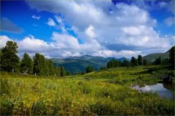 Кадр рекламы Evelyn Harper