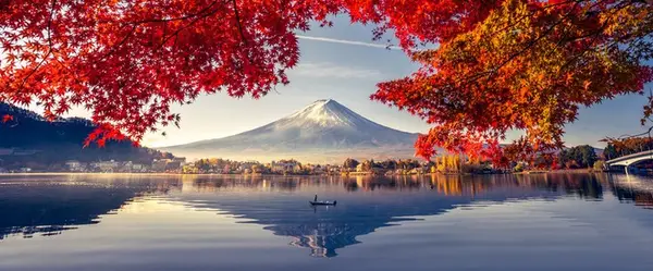 Кадр рекламы Lý Mai