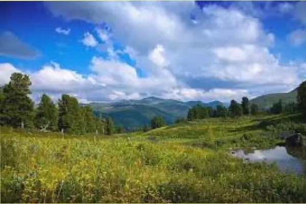 Кадр рекламы Evelyn Harper