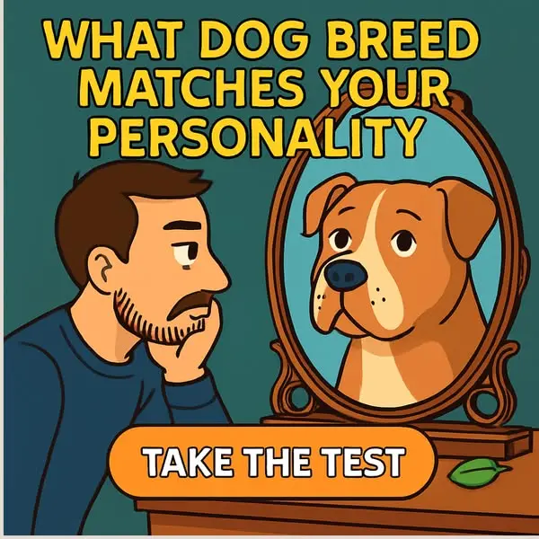Кадр рекламы Pet Food Sherpa