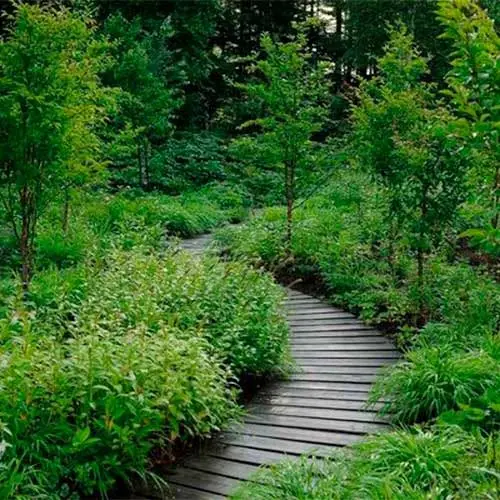 Кадр рекламы Wellness Wave