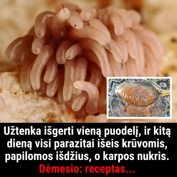 Кадр рекламы Doc Jeffrey Allen