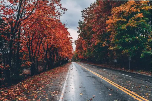 Кадр рекламы Hồng Ngà
