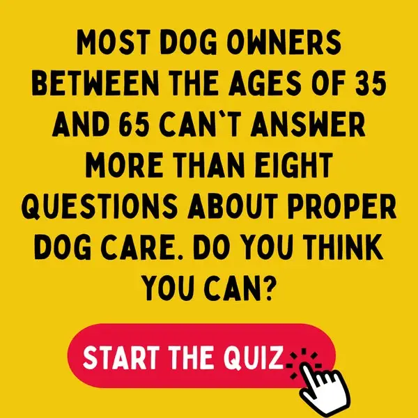 Кадр рекламы We're All About Pets