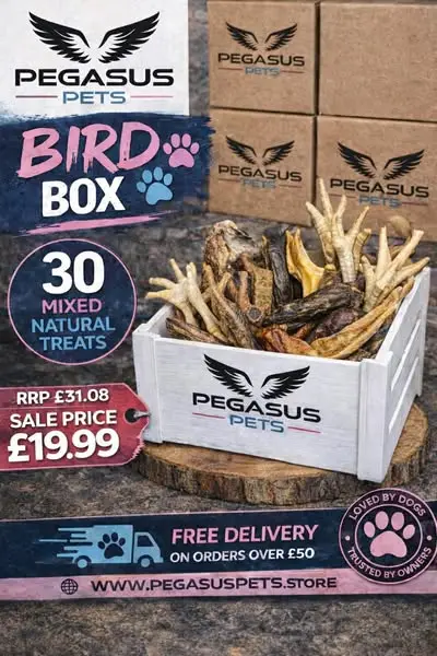 Кадр рекламы Pegasus Pets