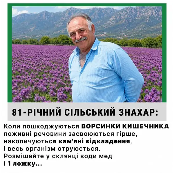 Кадр рекламы SPBVilla