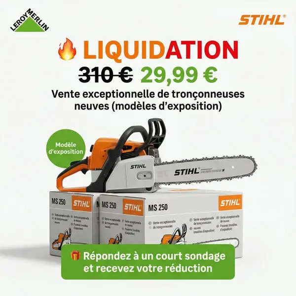 Кадр рекламы Liquidation de tronçonneuses